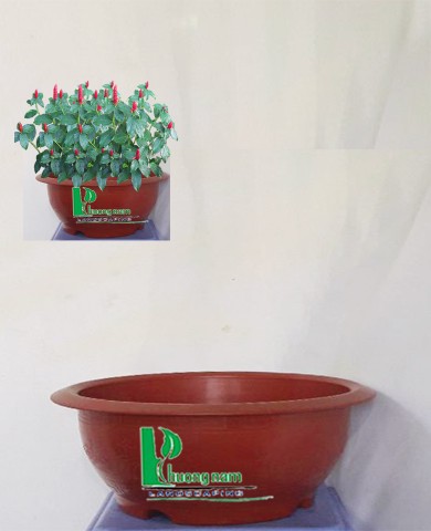 Chậu nhựa tròn 56 x 26 (màu đỏ) 