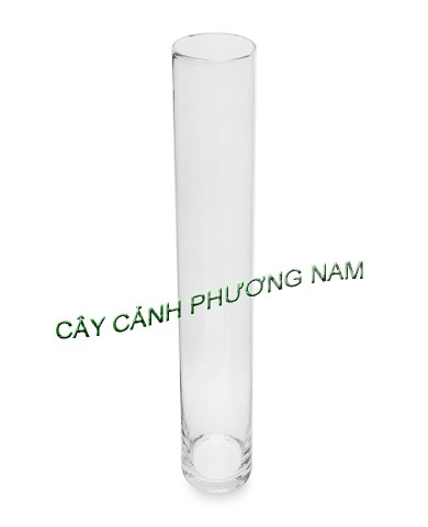 Chậu thủy tinh hình ống