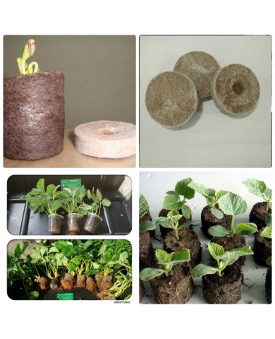 Viên nén xơ dừa