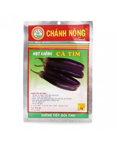 HẠT GIỐNG CÀ TÍM