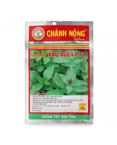 HẠT GIỐNG RAU QUẾ LÁ TO