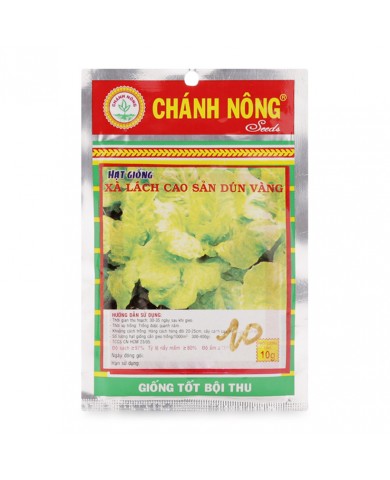 HẠT GIỐNG XÀ LÁCH CAO SẢN DÚN VÀNG
