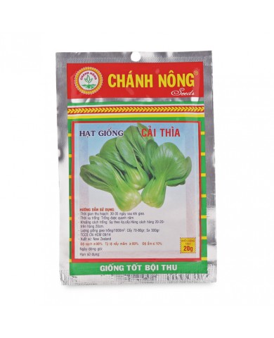 HẠT GIỐNG CẢI THÌA