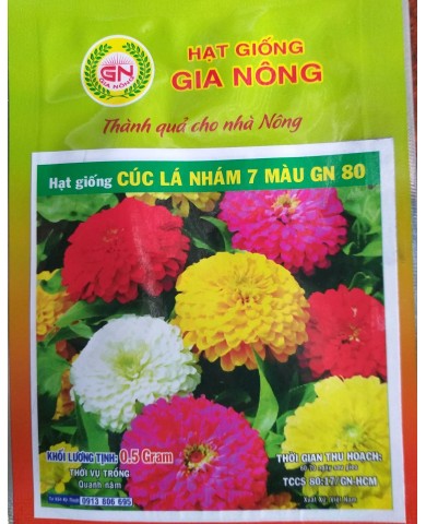 HẠT GIỐNG CÚC LÁ NHÁM 7 MÀU