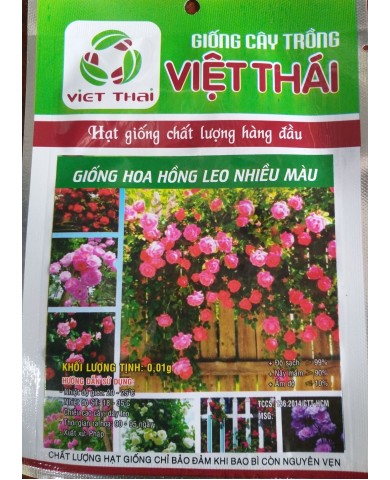 HẠT GIỐNG HOA HỒNG LEO NHIỀU MÀU