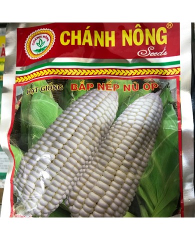 HẠT GIỐNG BẮP NẾP NÙ