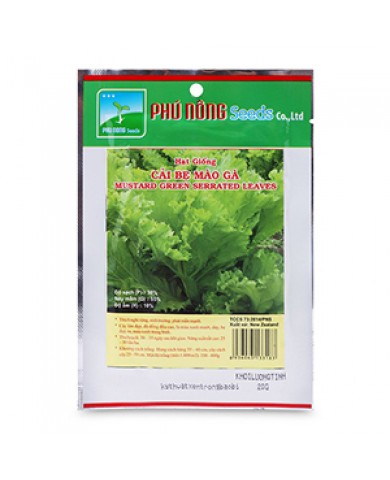 HẠT GIỐNG CẢI BẸ MÀO GÀ