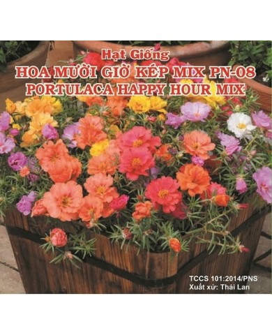 HẠT GIỐNG HOA MƯỜI GIỜ KÉP MIX PN-08