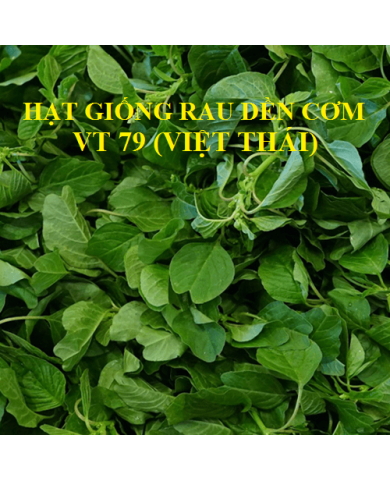 HẠT GIỐNG RAU DỀN CƠM
